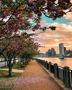 a walkway that is next to the water with flowers on it and buildings in the background