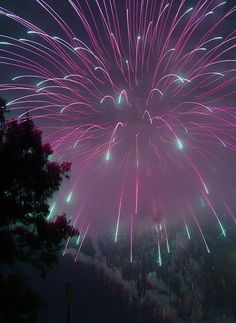 fireworks are lit up in the night sky with purple and green lights on it's side