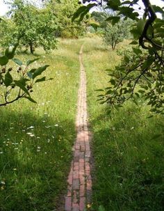 a brick path in the middle of a grassy field