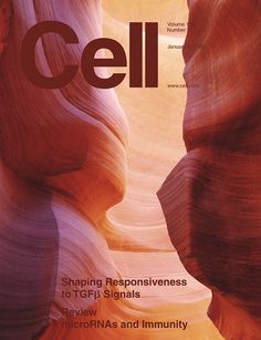 the front cover of cell magazine, featuring an image of two canyons and one cliff