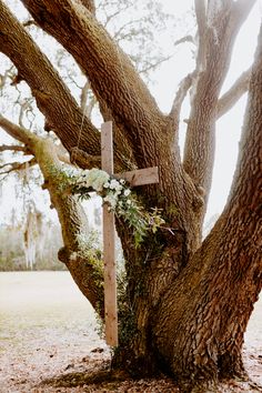 a wooden cross sitting in the middle of a tree