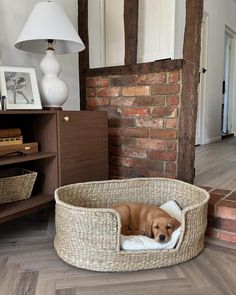 a dog is laying in his bed on the floor