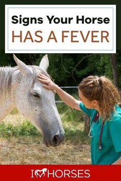 a woman petting a horse with the caption, signs your horse has a fever