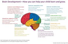 brain map Brain Diagram, Brain Mapping, Frontal Lobe, Brain Learning, Brain Anatomy, Brain Gym