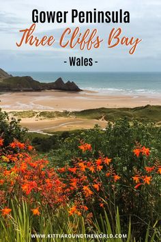 flowers in the foreground with text overlay that reads gower peninsula three cliffs bay wales