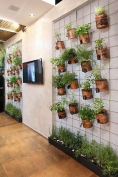 there are many potted plants on the wall