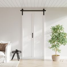 a living room with white walls and wood flooring, a plant in the corner