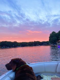 a dog sitting in the back of a boat on top of a body of water