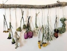 dried flowers hang from a branch on the wall