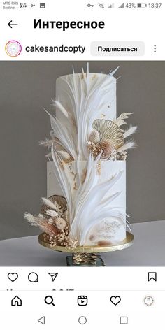 a three tiered cake with white frosting and feathers on the top is displayed in an instagram