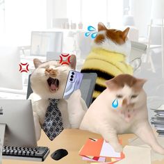 two cats sitting at a desk and one cat has its mouth open