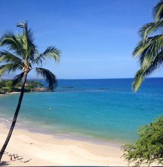 palm trees on the beach with blue water in the background and people swimming in the ocean