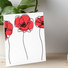 three red poppies on a white background with black lines art boarder next to a potted plant