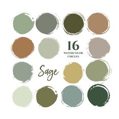 the 16 different shades of sage