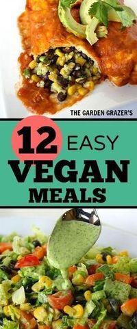 the 12 easy vegan meals you can make at home