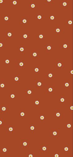 an orange background with white daisies and dots on the bottom half of the image