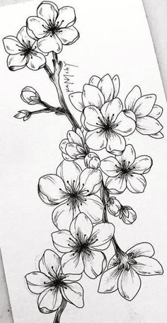 a drawing of some flowers on a piece of paper