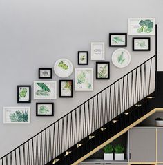 there are many framed pictures on the wall next to the stair case, and some plants