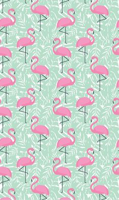 pink flamingos and palm leaves are on a light green background with white lines in the middle