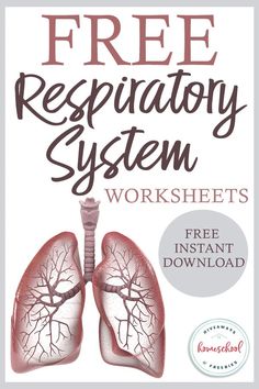 the front cover of a book with an image of lungs and text that reads, free respiratory system worksheets