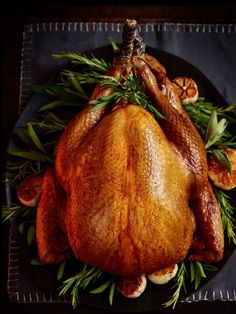 a roasted turkey on a platter with fresh herbs