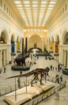 an indoor museum filled with dinosaurs and people