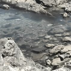 rocks and water in the middle of a river