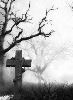 a black and white photo of a cemetery with the words barefoot in kensington asylm