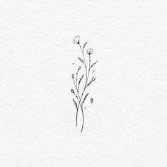 a drawing of some flowers on a white paper