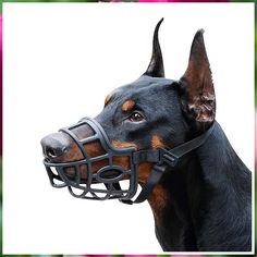 Mayerzon Breathable Mesh Dog Muzzle, Poisoned Bait Protective Muzzle for Dogs to Prevent Biting and Barking Reactive Dog, Dog House Diy, Cat Harness, Animal Nutrition, Border Terrier, Medium Sized Dogs, Cane Corso, Working Dogs