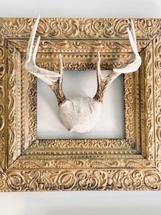 a deer's head mounted on the wall in a gold frame with an intricate pattern