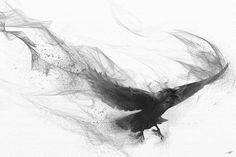 Raven Art, Black And White Drawing, High Art, Traditional Paintings, Ravens, Tag Art, Bird Art, Stretched Canvas Prints, Acrylic Prints