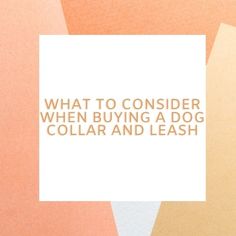 a white square with the words, what to consider when buying a dog collar and leash