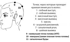 Введение... в парикмахерское искусство: alex_rasceskin — ЖЖ Matrix, Hair