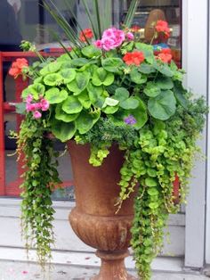 a planter filled with flowers and greenery on the side of a building in front of a window