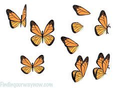 a group of orange butterflies flying in the air