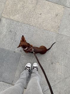 a person with their legs crossed and a dog on a leash