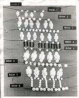 the diagram shows how many different dots are arranged in order to form an image with numbers on them