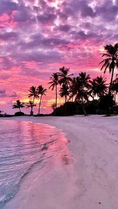 a beach with palm trees and pink clouds at sunset in the distance is an island