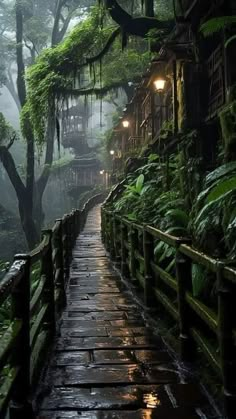 a wooden walkway in the middle of a forest filled with green plants and lit up by lanterns