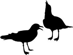 two birds standing next to each other on a white background