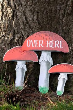 there are three mushrooms on the ground next to a tree with an over here sign