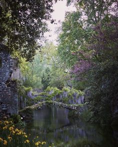 a river running through a lush green forest filled with lots of trees and flowers next to a stone wall