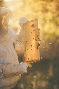 a beekeeper holding up a frame full of bees