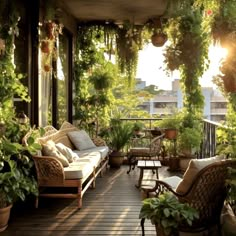 a porch with lots of potted plants and furniture on top of the wooden floor