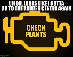 A picture of an orange check engine light on a vehicle dash with check plants written inside it. Gardening Memes, Seed Shop, Plant Mom, Flower Seeds, Garden Center, Perennials, Funny Jokes, Seeds, Memes