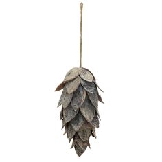 a dried plant hanging from a rope on a white background