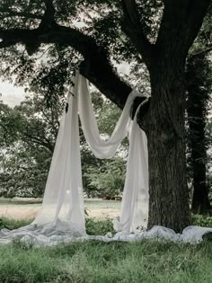 two white drapes hanging from a tree