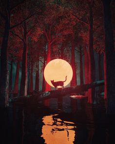 a cat standing on a log in the middle of a forest at night with red lights