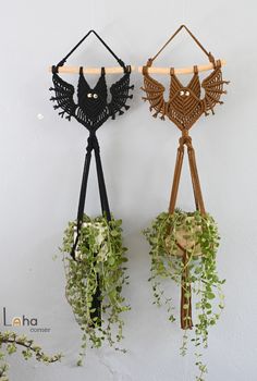 two hanging planters with plants in them